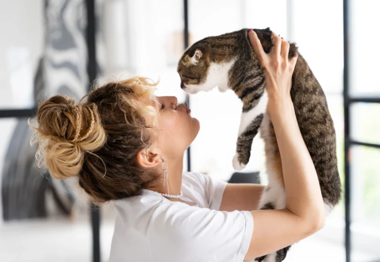moving pet camera