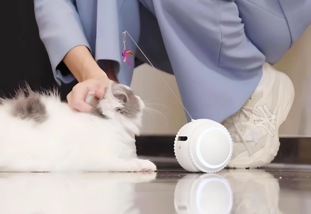 moving pet camera